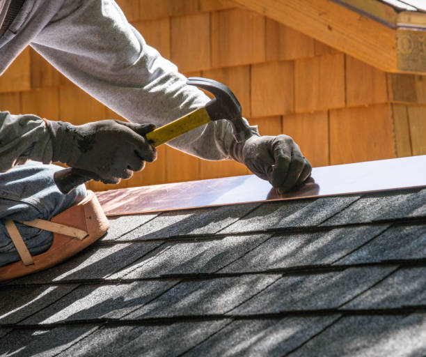 Best Roof Gutter Cleaning  in Suffolk, VA